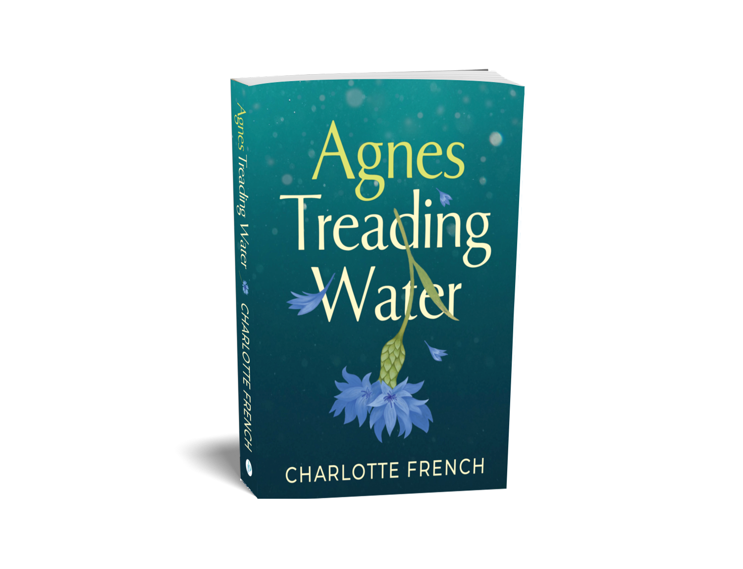 Agnes Treading Water - Paperback
